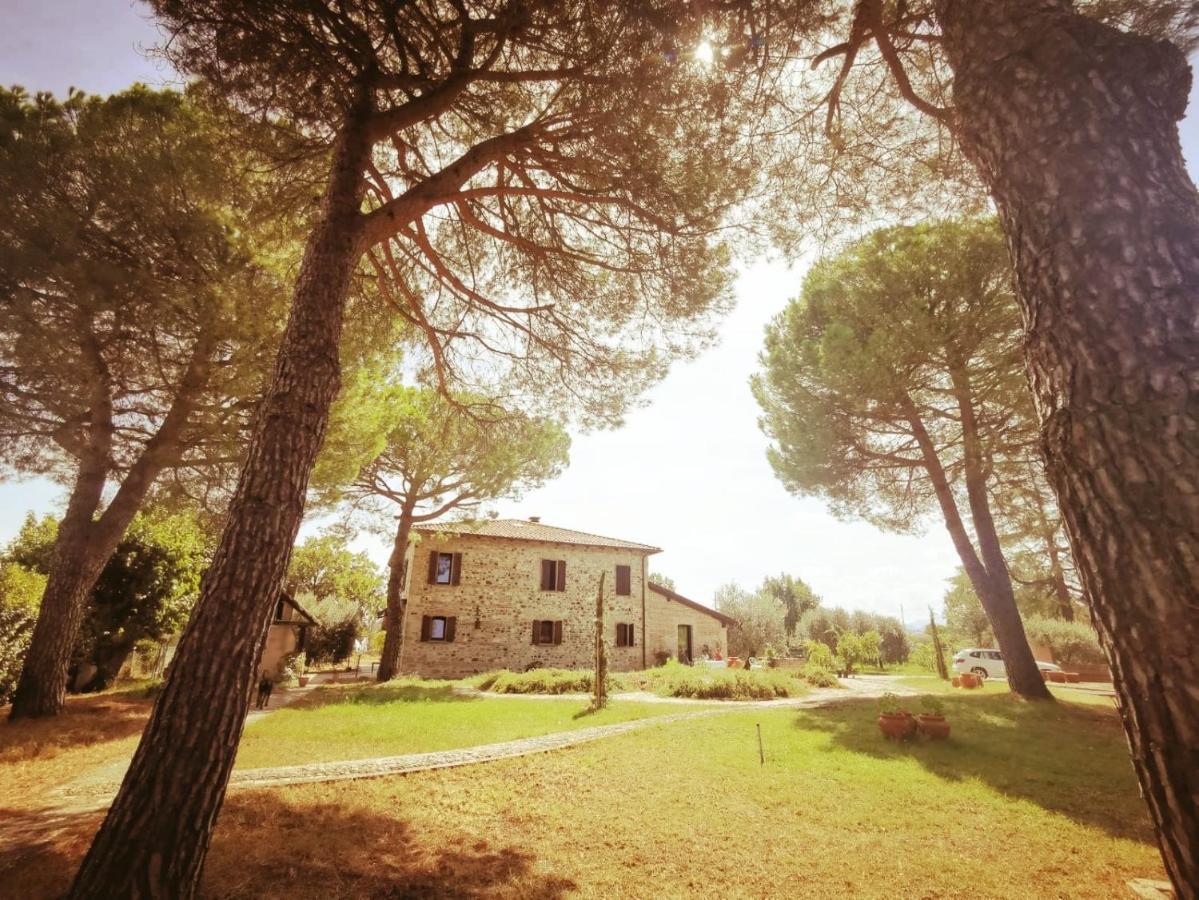 La Bertinora Bed & Breakfast Villa Verucchio Exterior photo